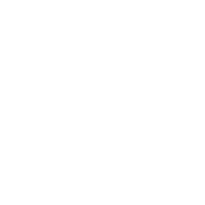 Pine Rivers Pony Club Logo